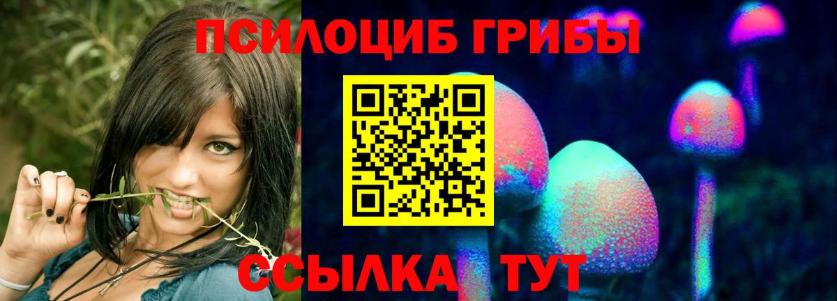 Псилоцибиновые грибы Cubensis Кубинка